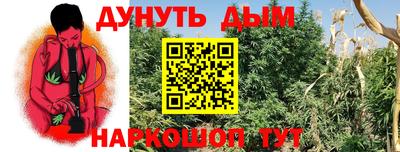 дживик Кингисепп
