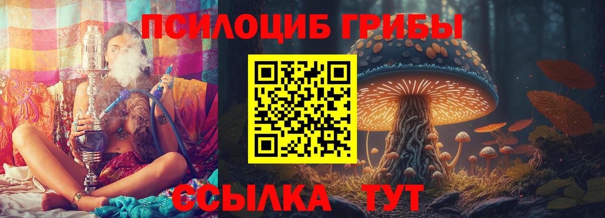Псилоцибиновые грибы Psilocybine cubensis  Вход с VPN  Комсомольск-на-Амуре 